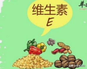 健康知识普及行动系列科普知识讲座之合理膳食篇