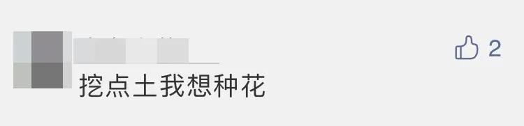 热议-嫦娥五号着陆瞬间:小动物抢镜,预示着什么、到底是玉兔还是沙狐