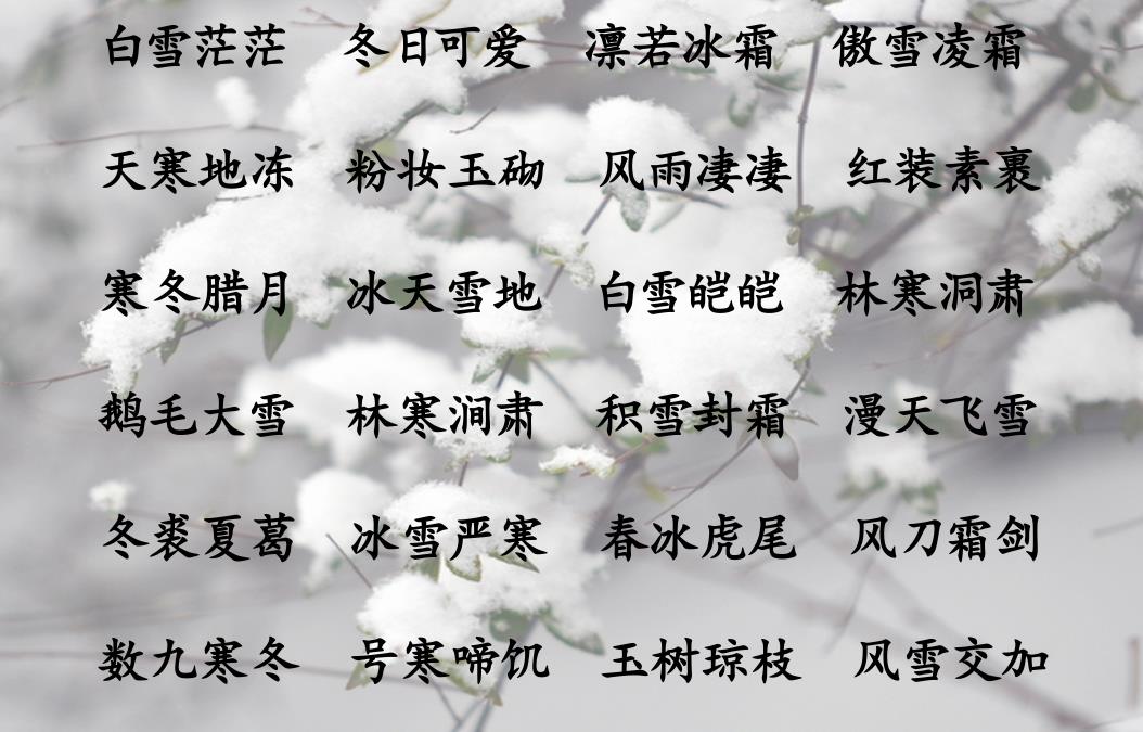 描写春夏秋冬四季的成语和诗句-第4张图片-非凡网