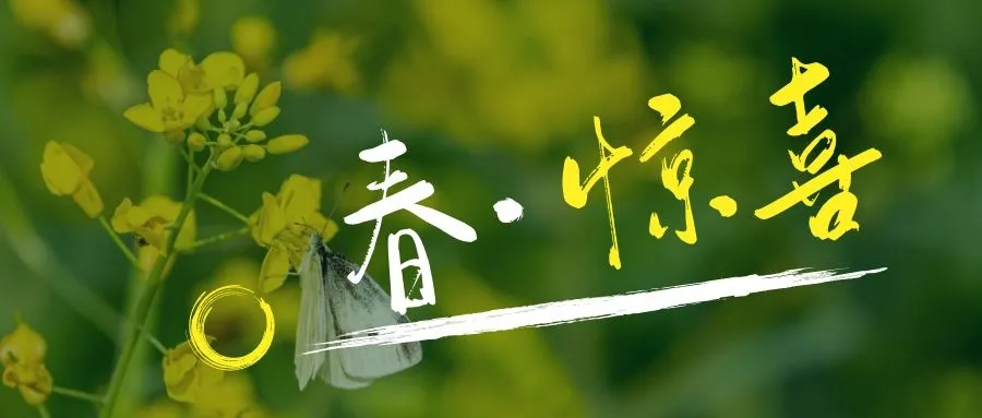鼓浪屿花景惊艳“上新”,华丽蜕变春日绽放