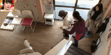 日本81岁奶奶和柴犬同患老年痴呆，分开2年后感人一幕发生了
