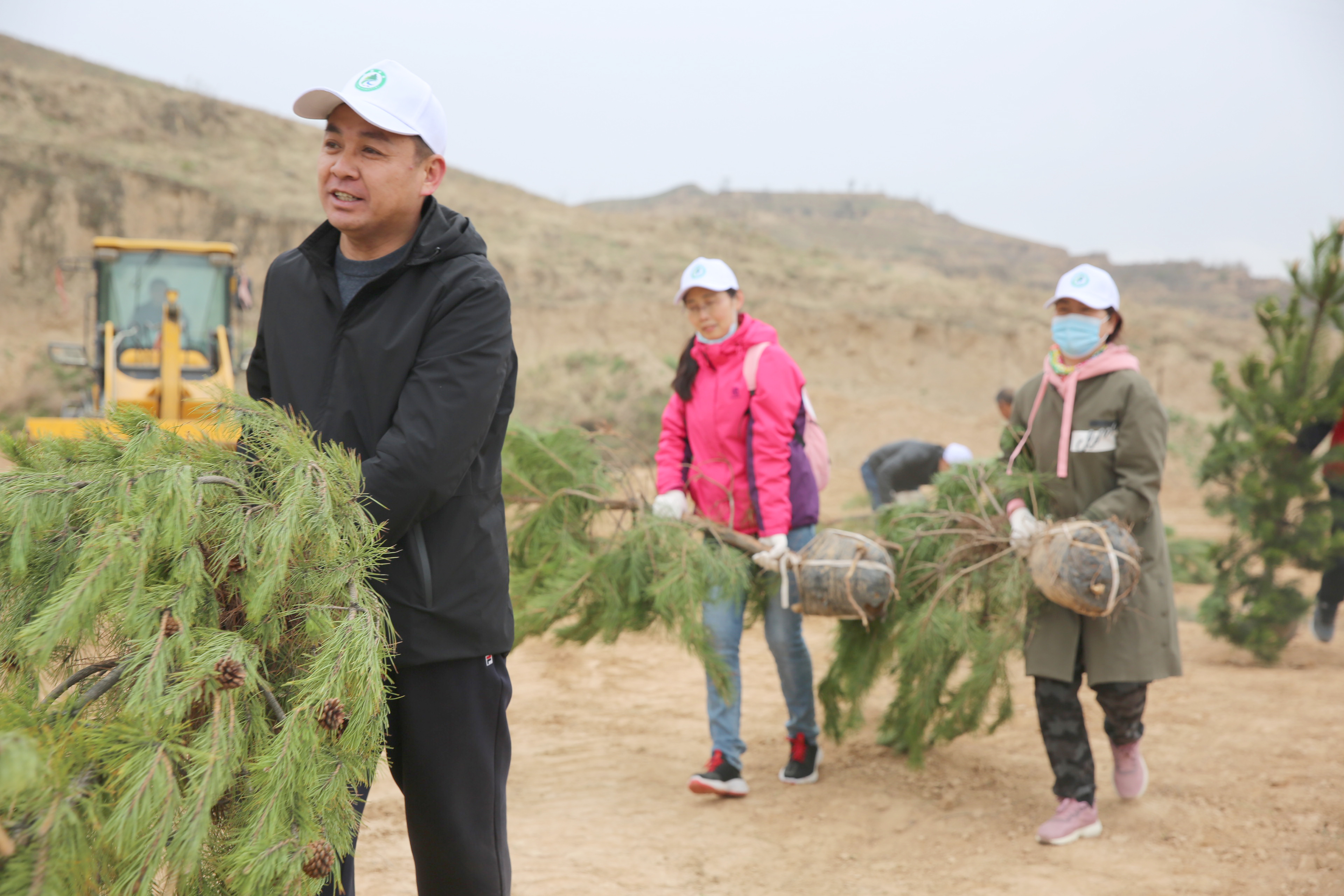 “我为群众办实事”| 绥德法院开展义务植树活动，将绿意种在春天里