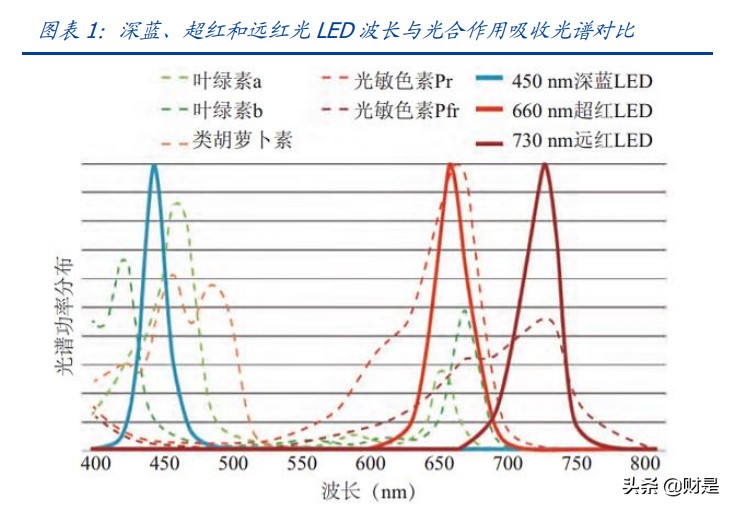 LED植物照明市场研究：扩容动能充足，植物照明市场放量在即