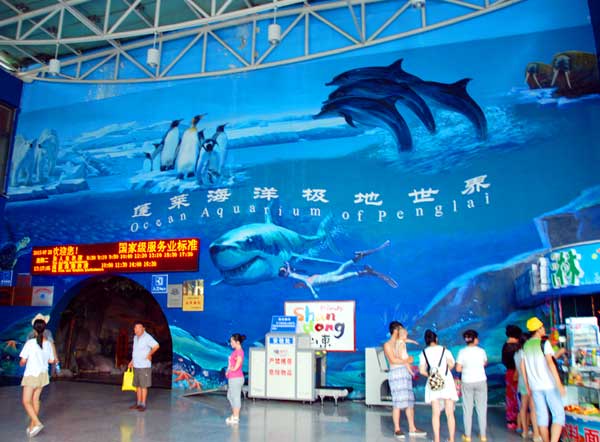 山东旅游：蓬莱探秘海洋极地世界（图）