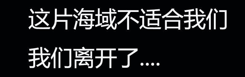 今年，扇贝今年又双叒跑了