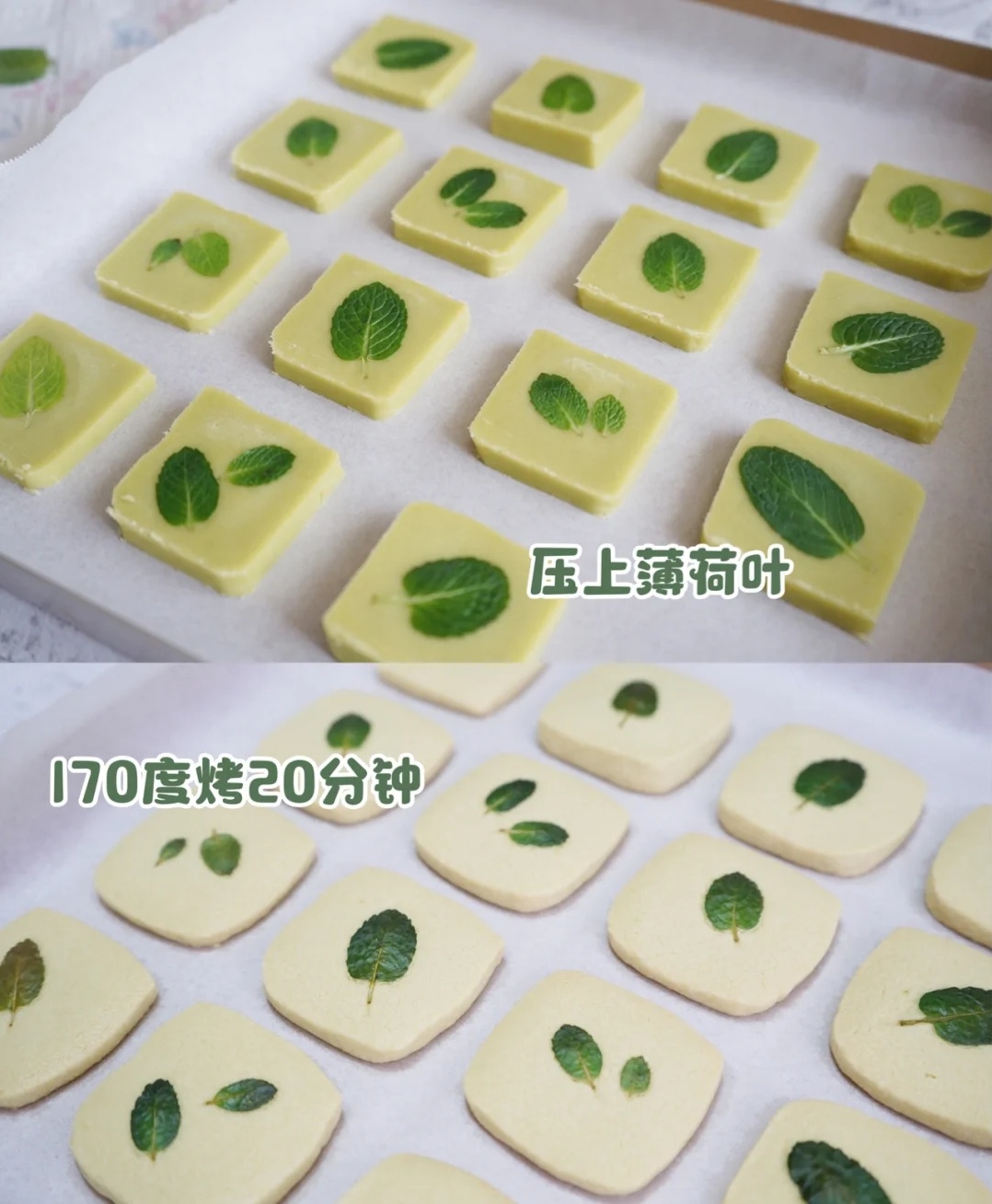 Bake novice 0 failure, spring day wipes biscuit of tea mint snacks, you are worth to have