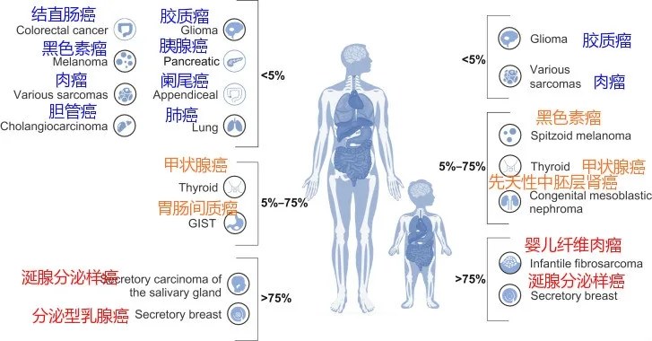 再次突破！抗癌药缓解率67%，可针对25种癌症，国内试验已公布