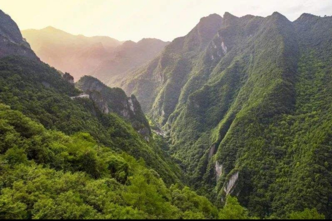 千里乌江**城，中国榨菜之乡——重庆涪陵