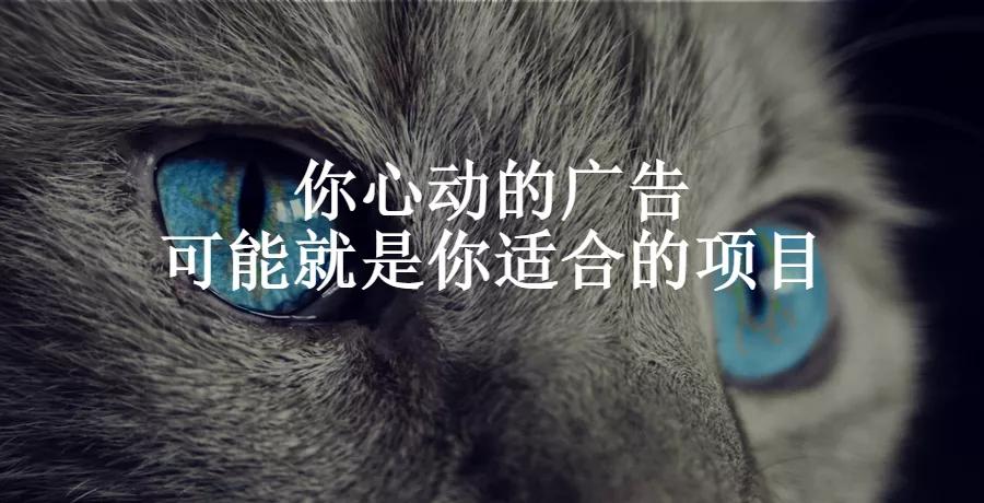 我发现了草根赚钱的秘密，都藏在这里！