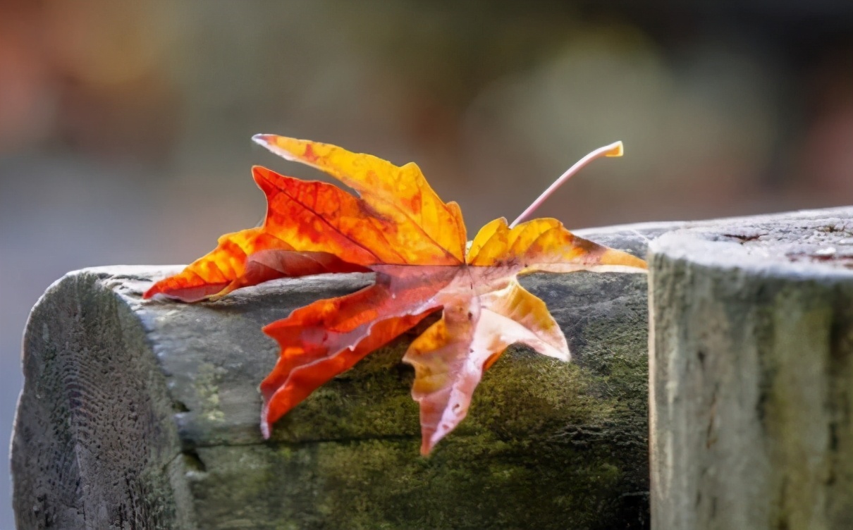 会赚钱的人，往往懂得以下三个套路