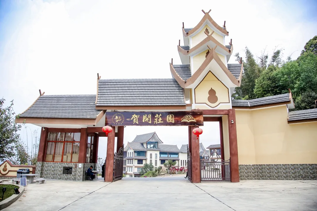 抢占先机 | 六大茶山国内空白市场诚邀代理火热开启