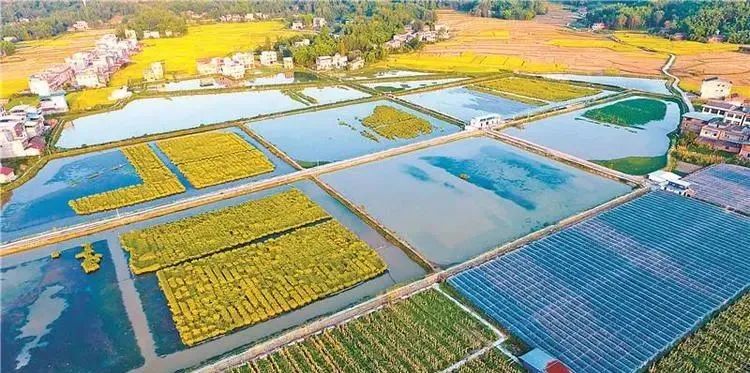 中国正在大量采购美农产品；中国生物有机肥行业没有巨头