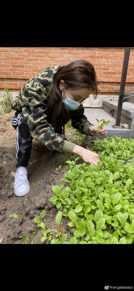Angelababy回应离婚质疑，实锤终于来了