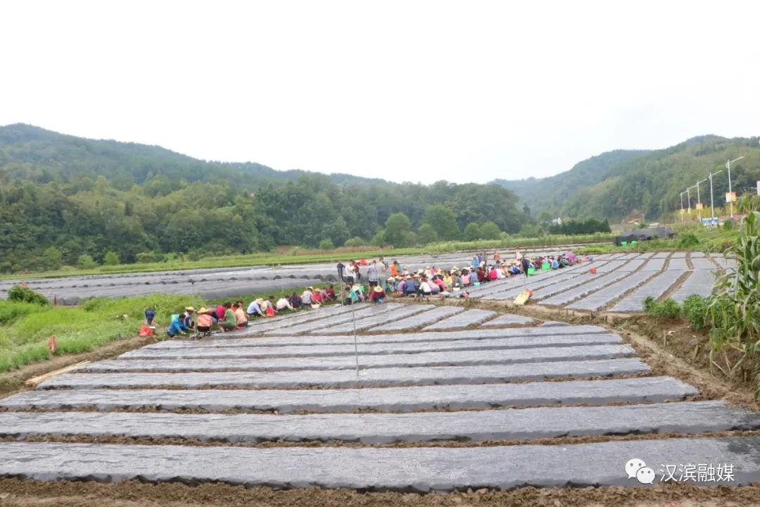 “十三五”回顾之四：带贫益贫，“四式八法”实现多赢