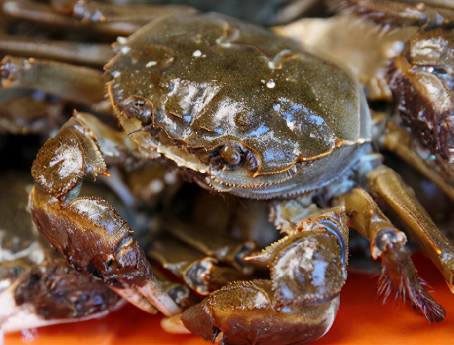 图片[3]-盐焗大闸蟹的做法步骤图 咸香肉嫩蟹黄鲜-起舞食谱网