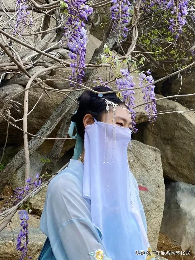 云瀑洞天，周六紫藤美食 · 汉服文化节，这类人群门票免费