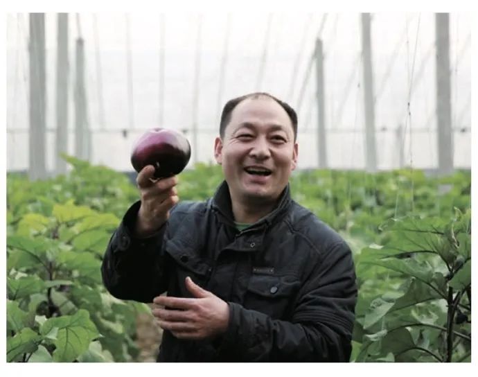 保丰收增营养，粮食也要靠“菜谱”