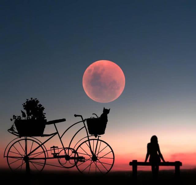 关于夜晚的哲理句子说说心情(适合深夜送朋友圈的人生感悟,蕴含哲理