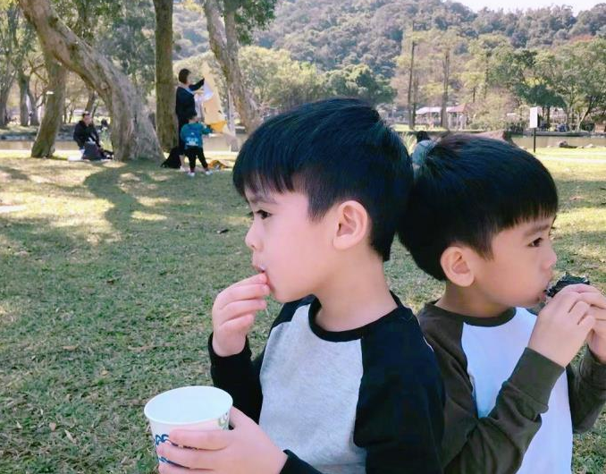 林志穎曬雙胞胎兒子野餐照，兄弟倆顏值差異引熱議：是假雙胞胎吧