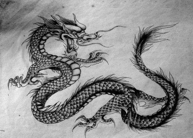 真龙降临东北轰动全国，老人意外得到5块龙骨，