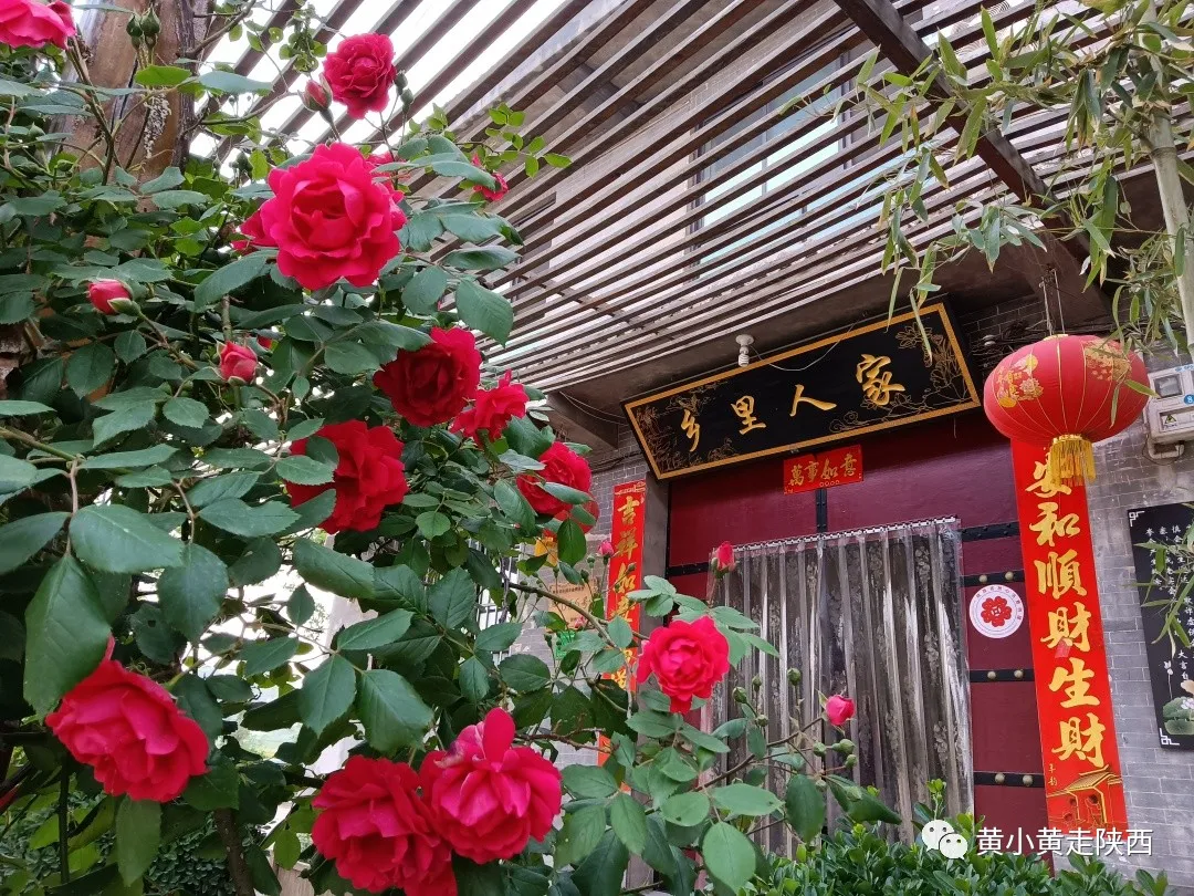陜西這個(gè)大牌度假區(qū)很不錯(cuò)！美食很多消費(fèi)低,，最低30元就能住一晚
