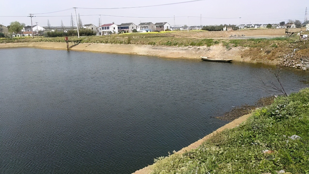 水产养殖上遇到池塘“转水”问题应该怎样做