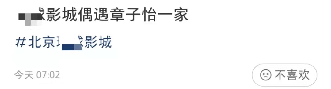 章子怡一家五口同出游，小儿子正面照罕曝光，与汪峰如同复制粘贴