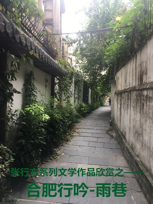 张行方美文：合肥行吟-雨巷