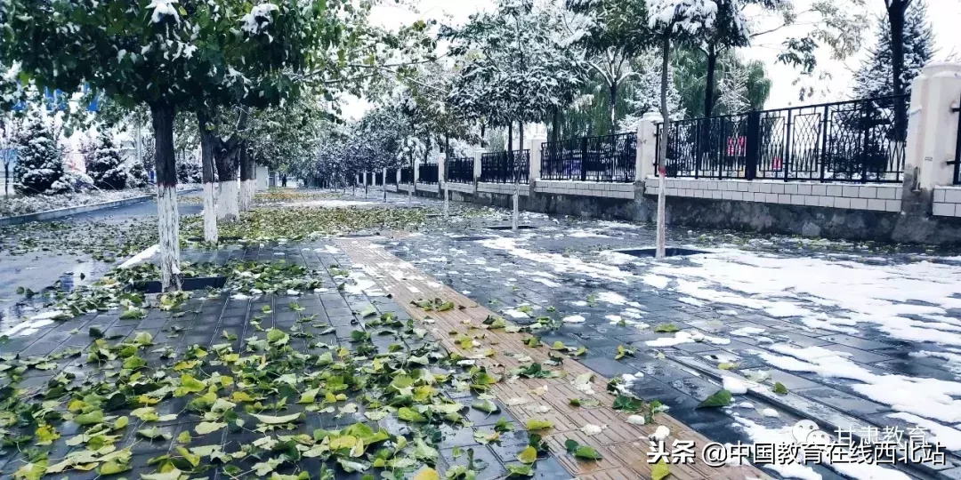 甘肃初雪|甘肃18所高校初学雪景大PK,快来看看有你的母校没?