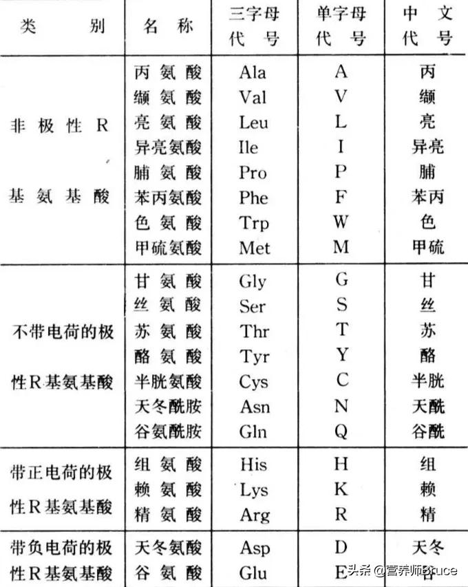 慢性胃炎不能吃哪些食物？ 應該吃些什麼？
