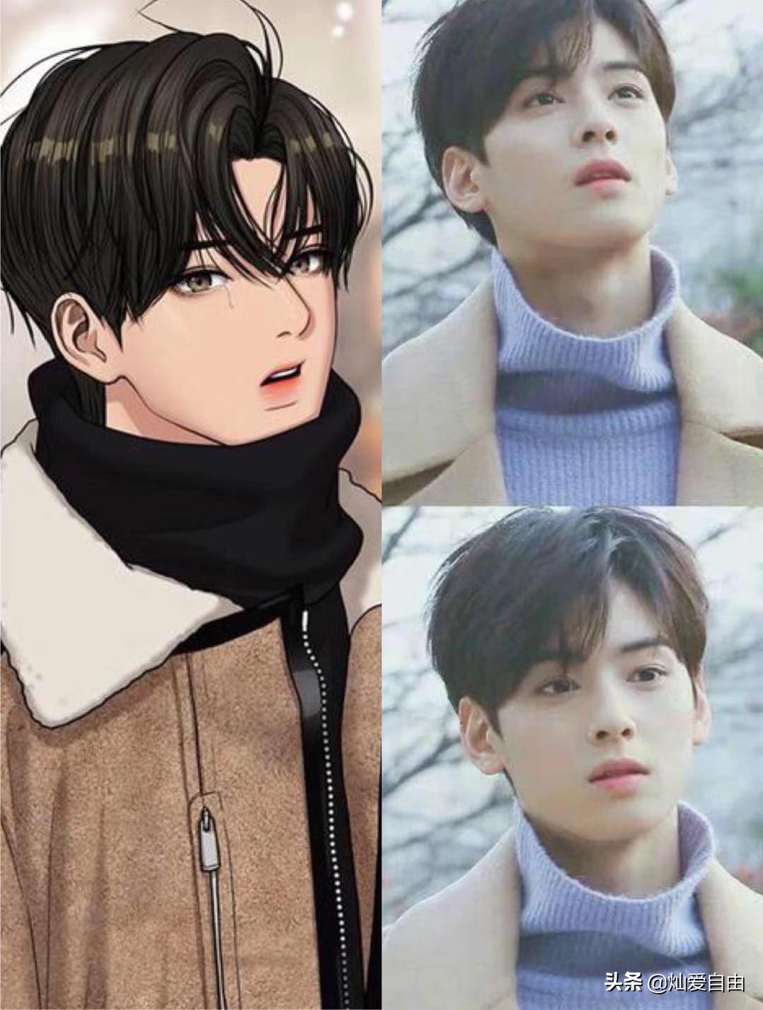 工藤静香、坂井泉水，动漫人物原型存疑，美人