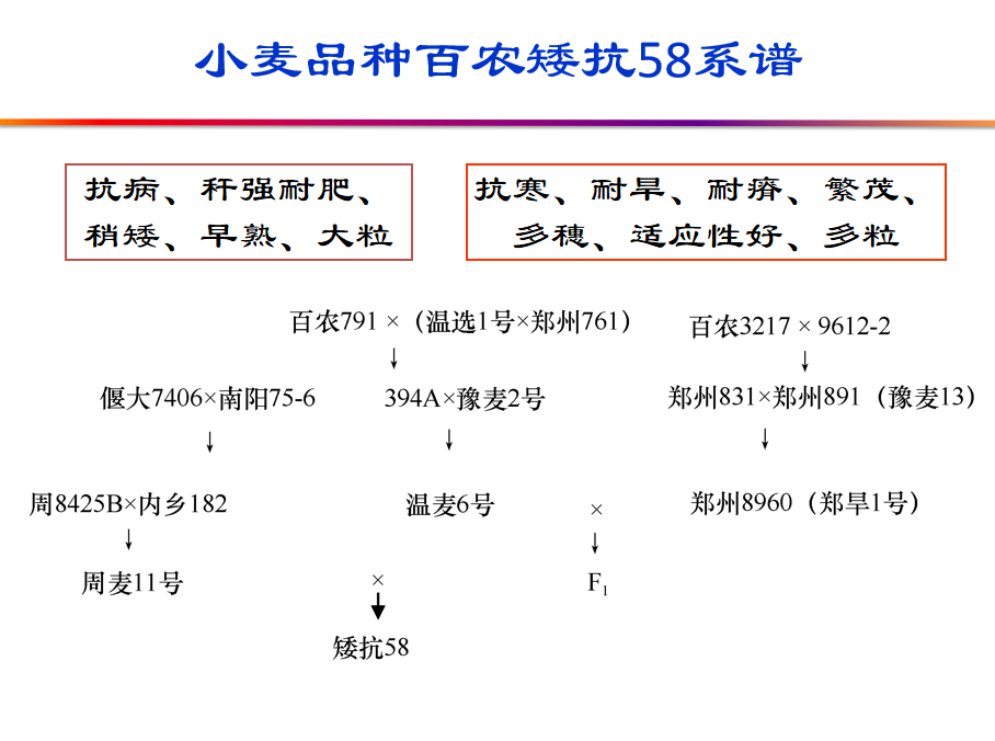 你在种小麦吗？不，我在进行一场修行580 / 作者:UFO爱好者 / 帖子ID:69717