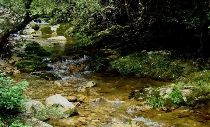 浙西的秘境山水打包送给你,这条自驾路线夏天去正好