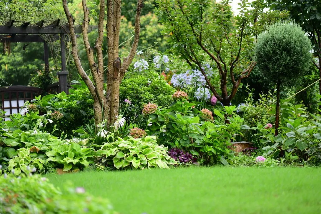 舍非园艺：盛夏三伏，庭院绿化小技巧营造出满满轻松感