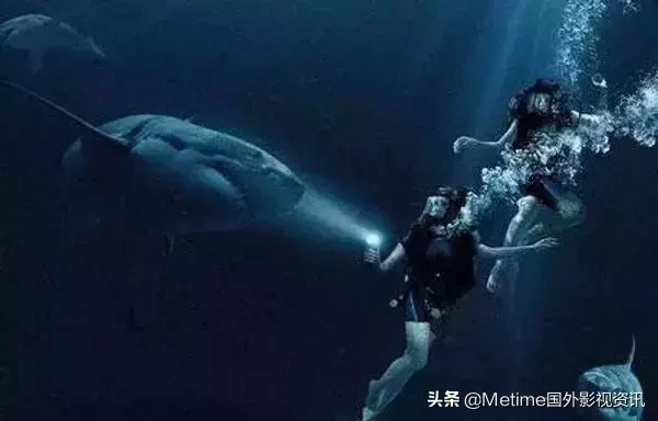 推荐四部跟鲨鱼有关的欧美电影,我最喜欢大白鲨系列