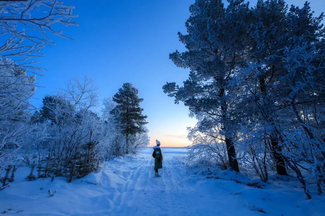 北極向北，邂逅一場絕美極光