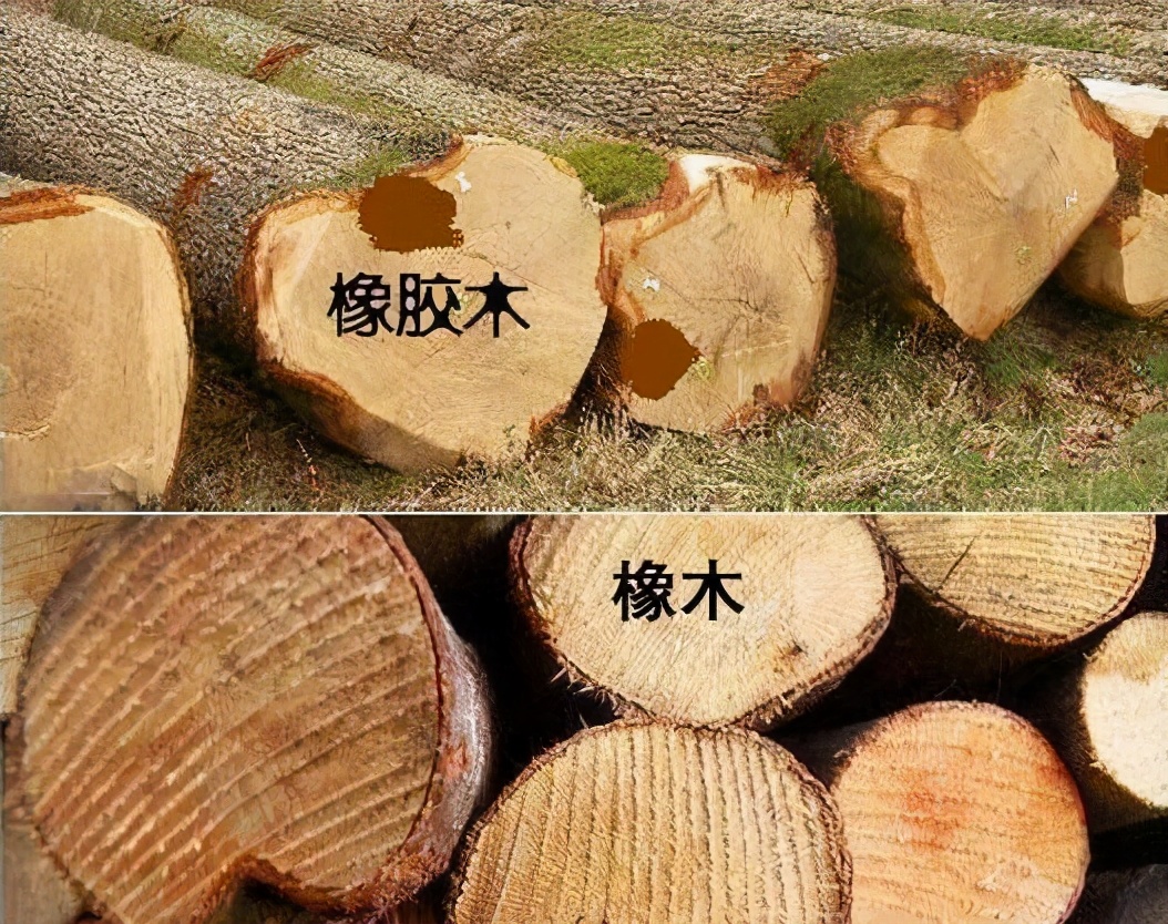 The Difference Between Oak And Rubber Wood Is Only One Word Why Is The   508fba4159fc4c75885aef3056a292c6 