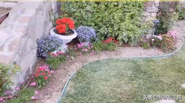 苗苗晒日常，家中豪宅惹人羡慕，看清怀孕后的