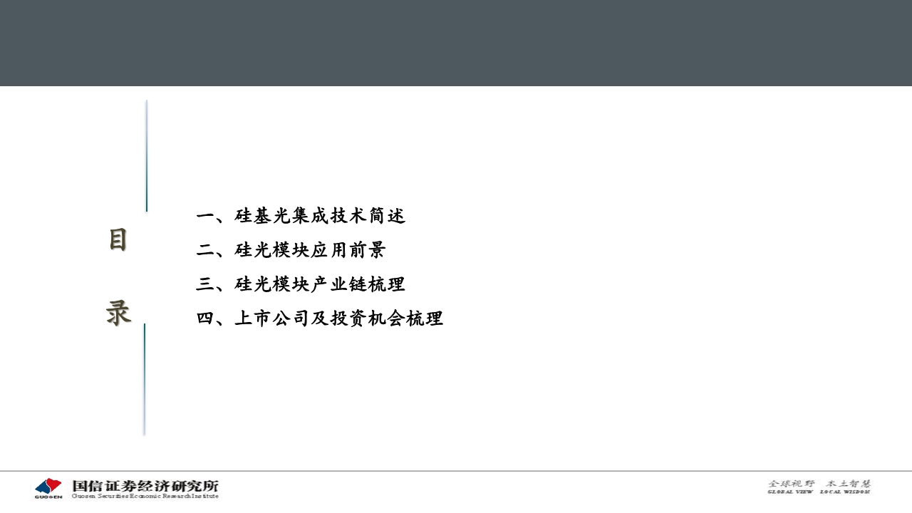 光通信产业专题报告：硅光模块大有可为