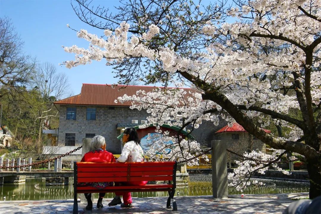 最美人間四月天，雞公山春色滿園等您來