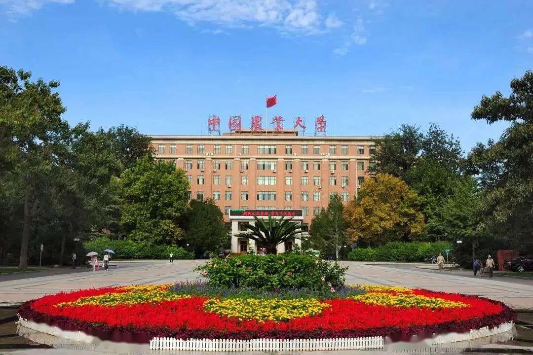 故意考零分的、退学送外卖的都重新高考上大学，原来是有隐情的