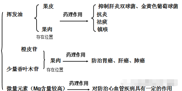 咳嗽不止、咽干痰多...有了这个就不用怕