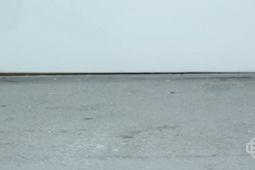 据说摄影师们看完全哭了......