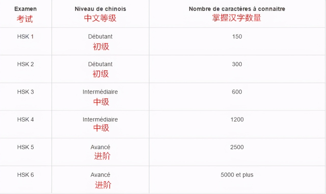 当法国人学了中文…| 丁真火遍国际，法国小哥竟以这种方式出圈