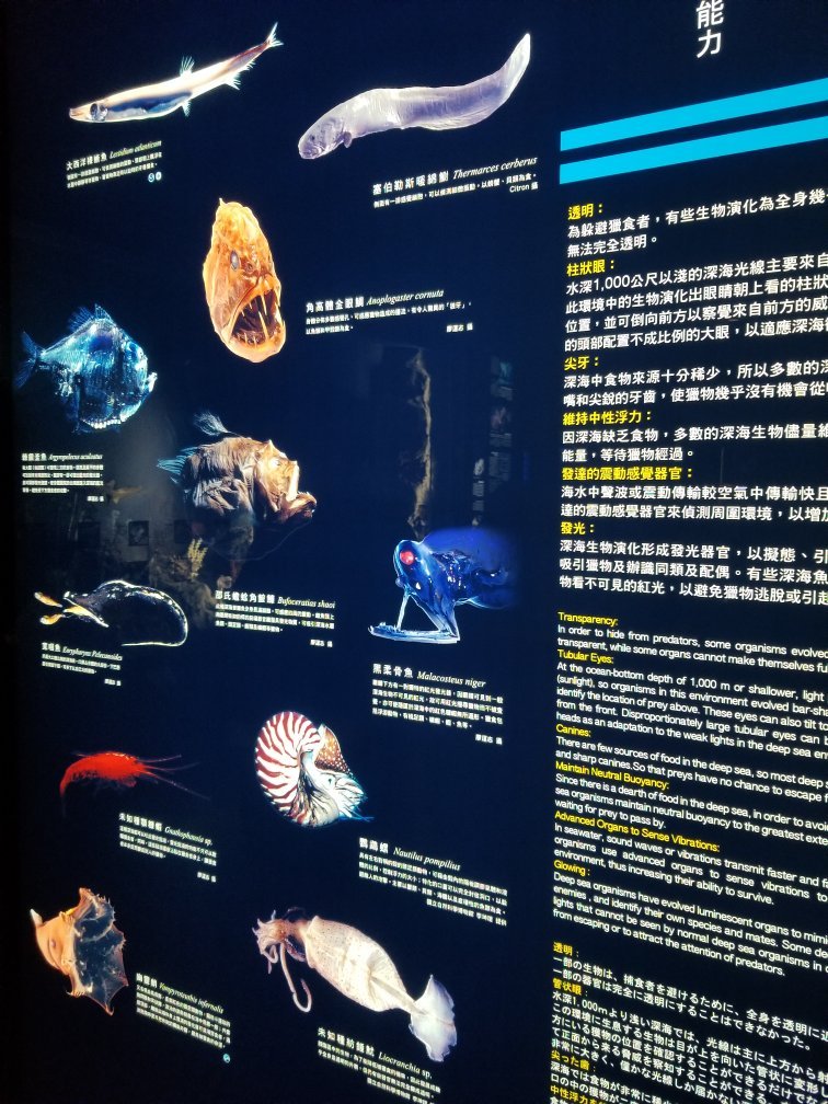 工业遗址大变身之废弃火电厂化身“海洋百科全书“