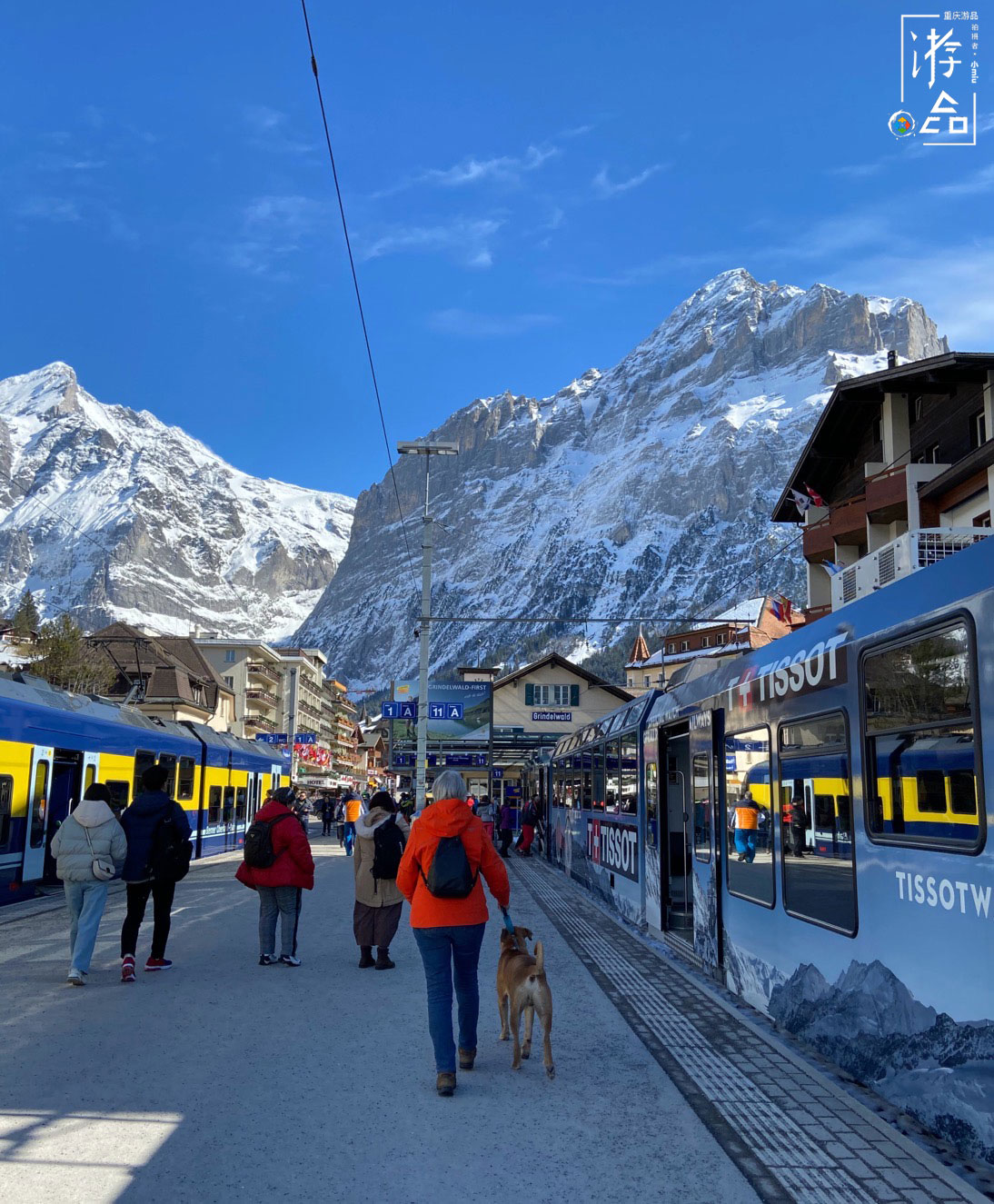 重庆有“东方瑞士”，但去过真正的瑞士，才明白什么叫童话王国