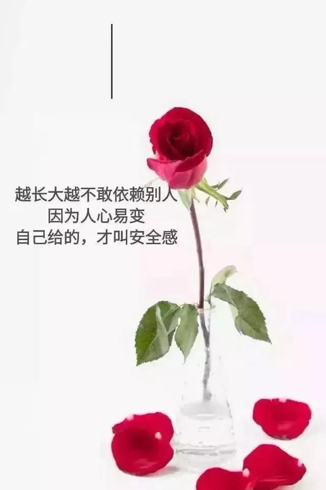 励志早安心语正能量一句话-第5张图片-非凡网