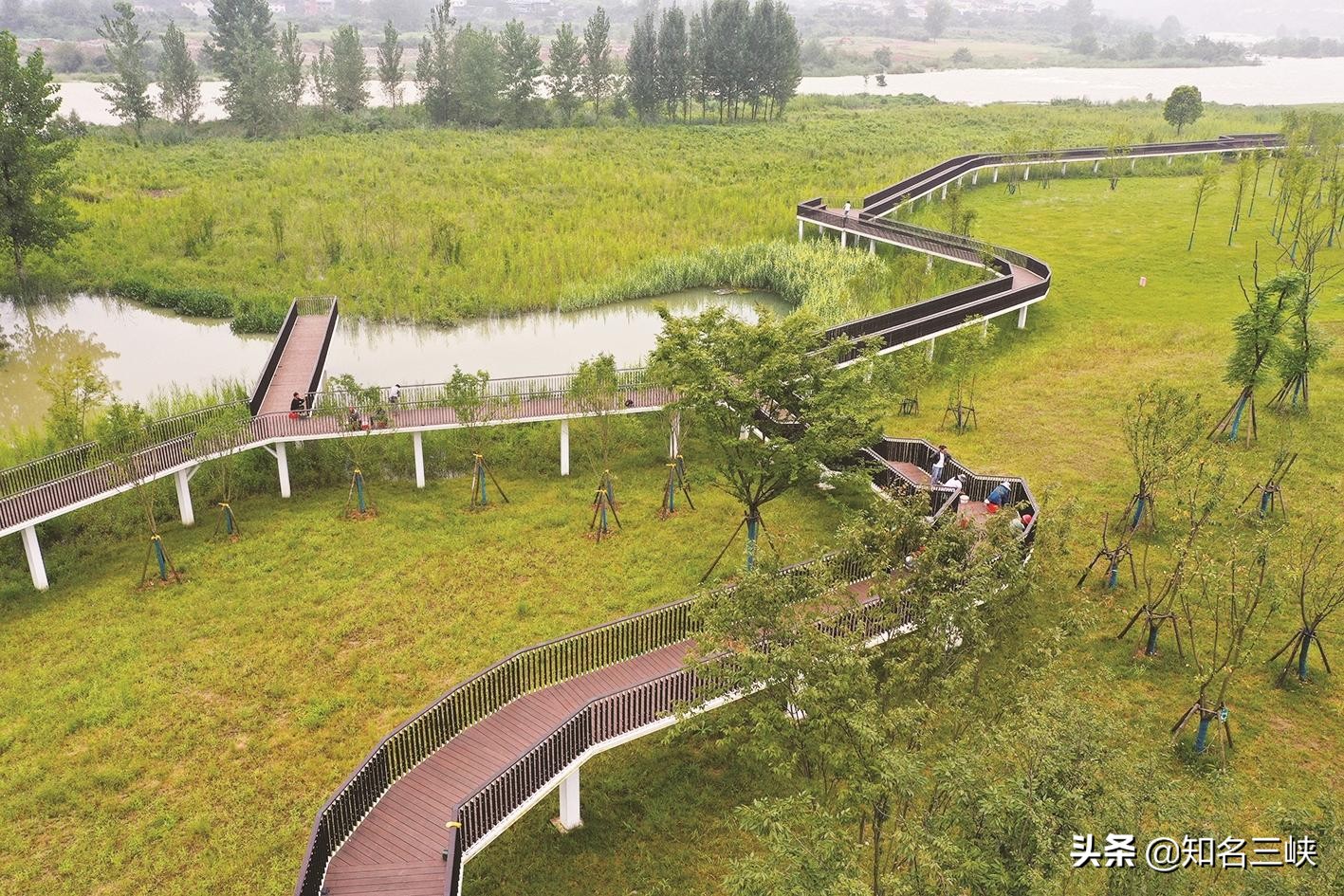 Park wetlands dress up the beautiful shore of Huangbai River: countless ...