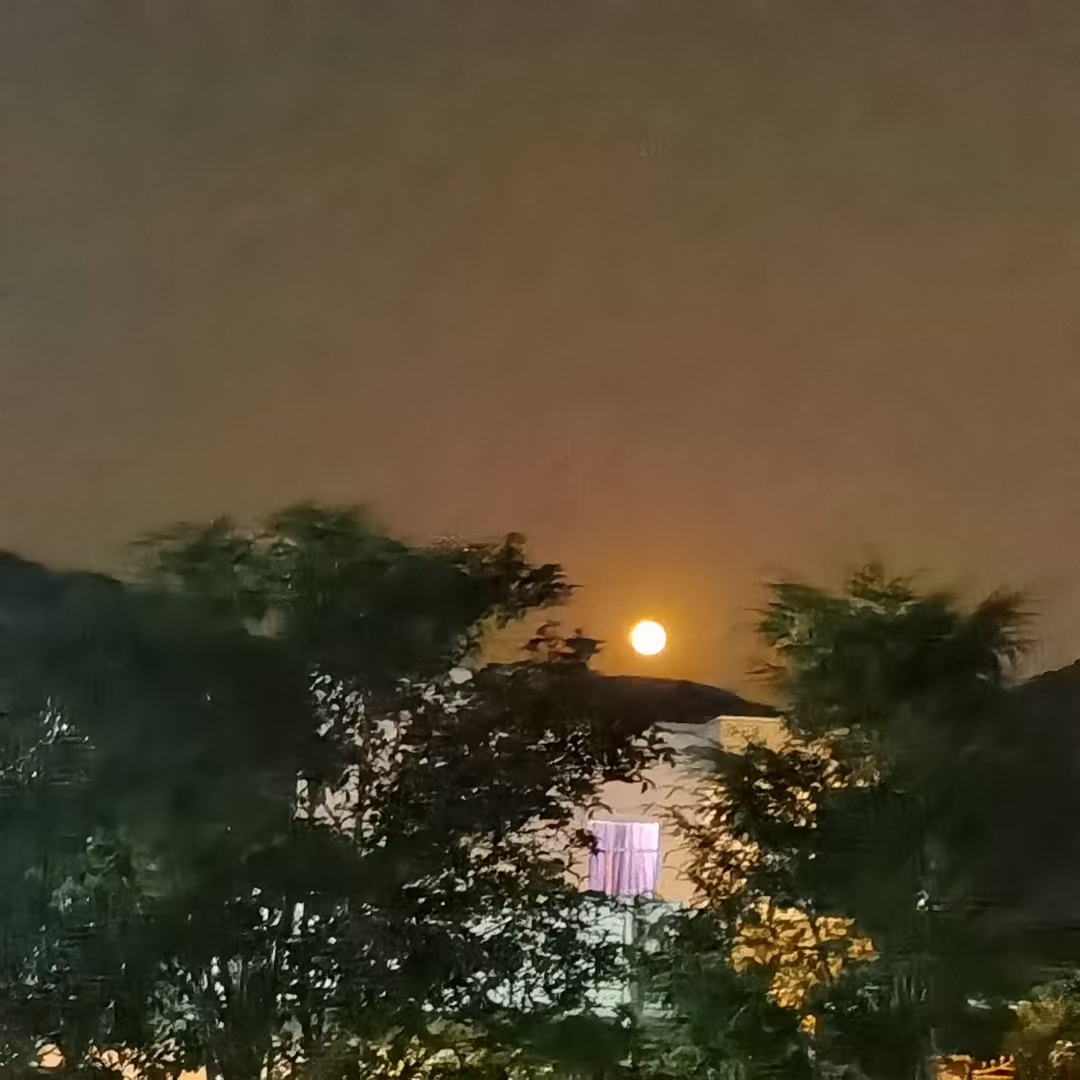 2021¸