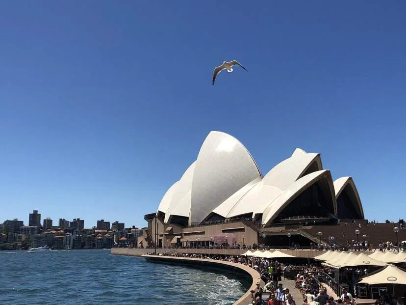 国人澳洲置业热情高涨 新希望携首个海外地产项